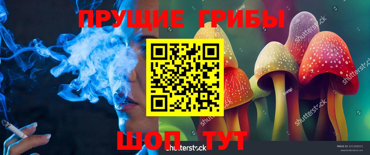 Энгельс  Псилоцибиновые грибы GOLDEN TEACHER  Вход с VPN 