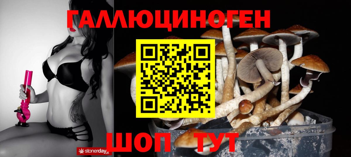 Галлюциногенные грибы Psilocybine cubensis Энгельс